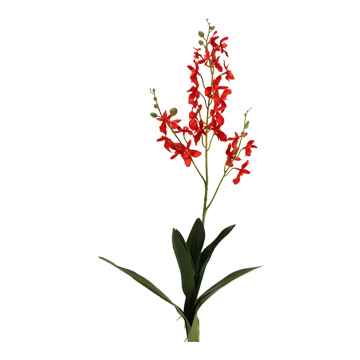 Red Dendrobium Orchid Stem - FL2340