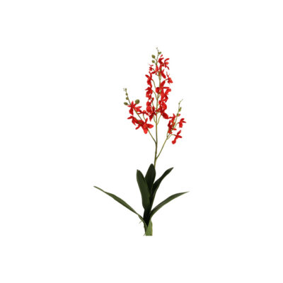 Red Dendrobium Orchid Stem - FL2340