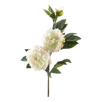 White Peony Stem - FL2373