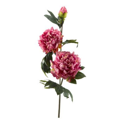 Pink Peony Stem - FL2374