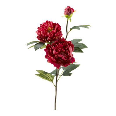 Dark Pink Peony Stem - FL2376