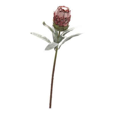 Red Protea Flower - FL2395