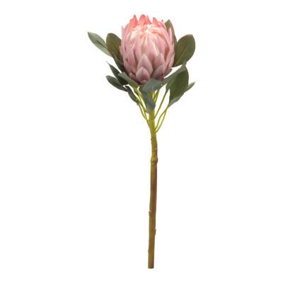 Pink Protea Flower - FL2398