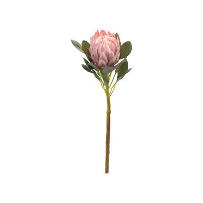 Pink Protea Flower - FL2398