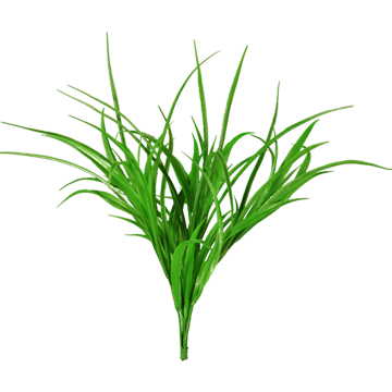 Yucca Grass - GR1091