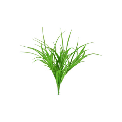 Yucca Grass - GR1091