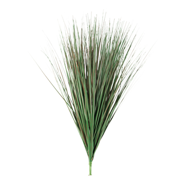Burgundy/Green Onion Grass - GR1282