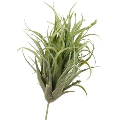 Flocked Mini Aloe - GR1698