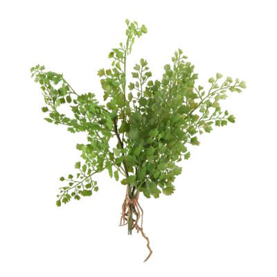 Flat Iron Fern Spray - GR1788
