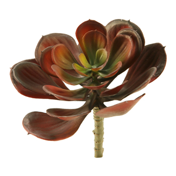 Red Echeveria Spray - GR1871
