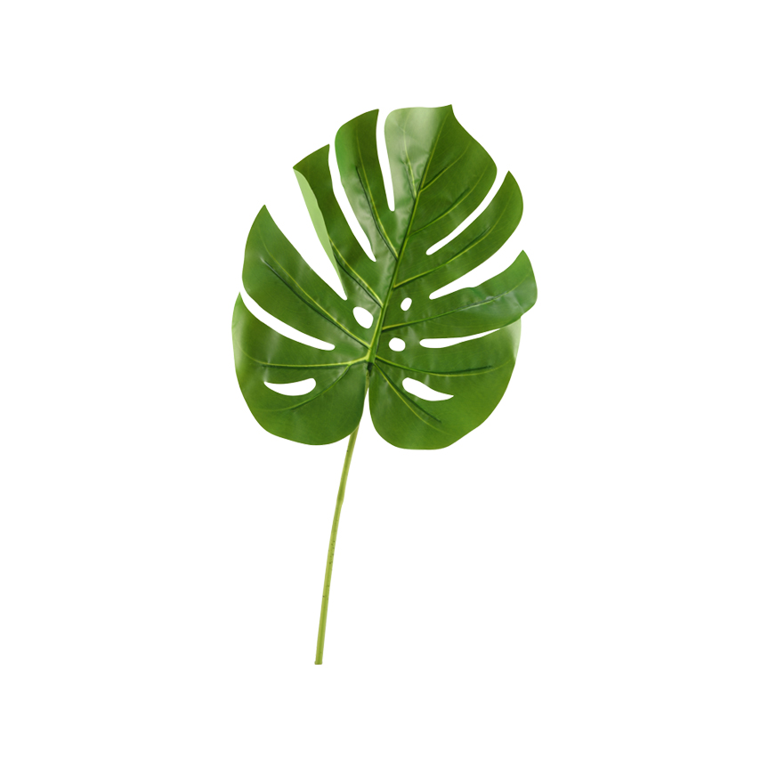 Large Split Leaf Philo - GR1907