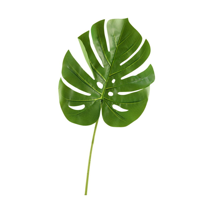 Large Split Leaf Philo - GR1907 - Image 2