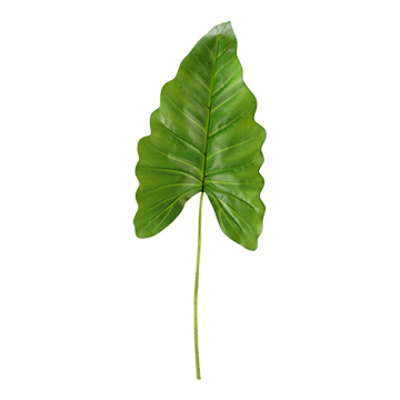 Large Philo Leaf - GR1910