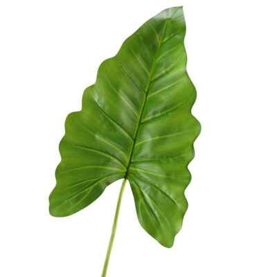 Large Philo Leaf - GR1910