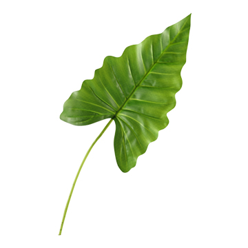 Small Philo Leaf - GR1912
