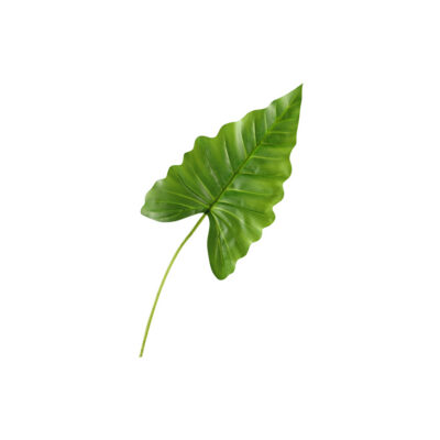 Small Philo Leaf - GR1912