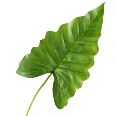 Small Philo Leaf - GR1912
