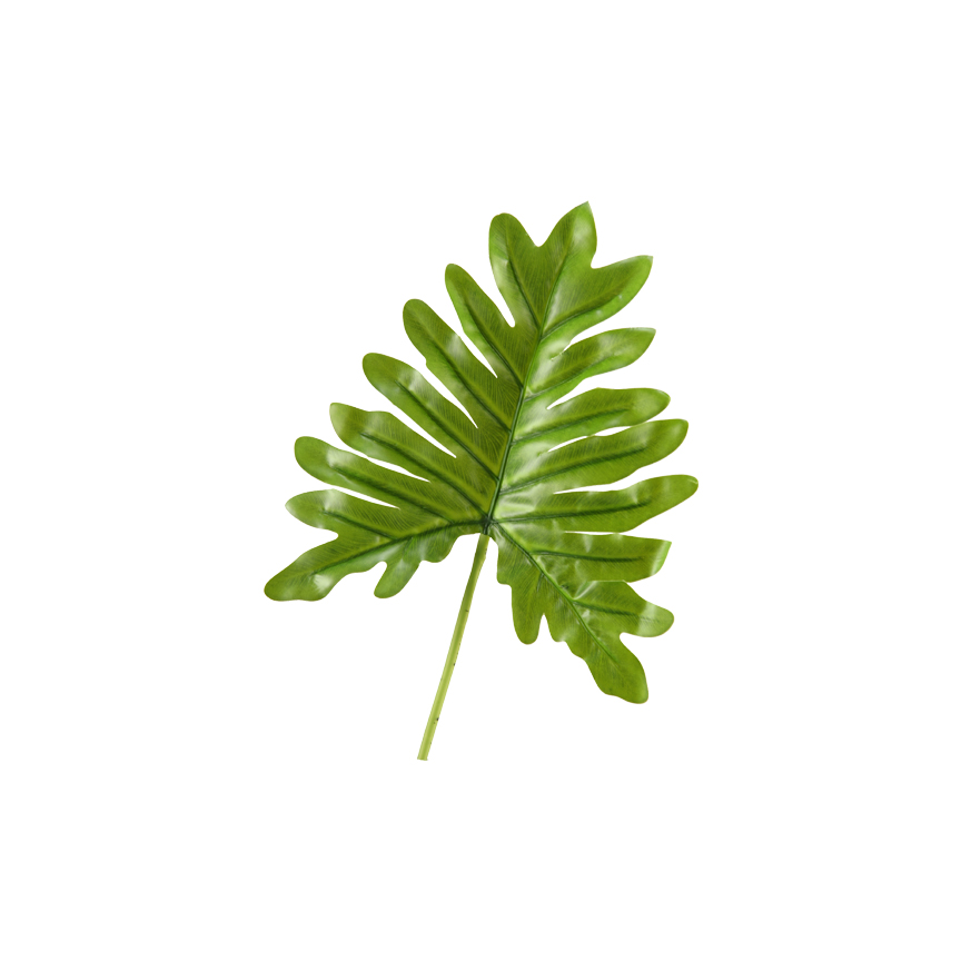 Small Selloum Philo Leaf - GR1916
