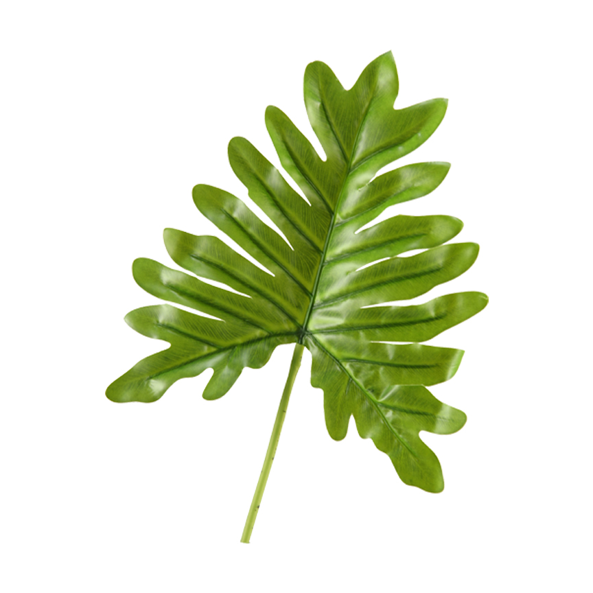 Small Selloum Philo Leaf - GR1916 - Image 2