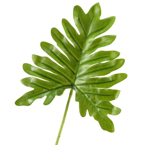 Small Selloum Philo Leaf - GR1916