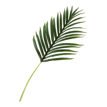 Medium Hawaiian Palm Leaf - GR1918