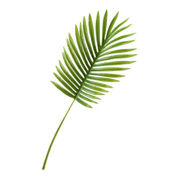 Small Hawaiian Palm Leaf - GR1919