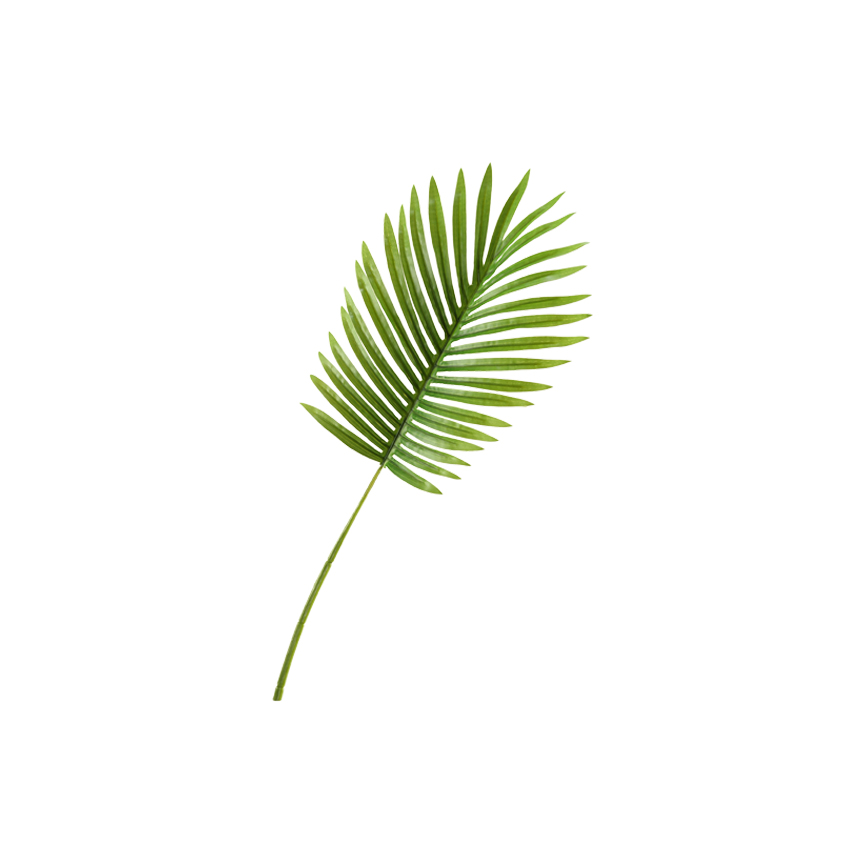 Small Hawaiian Palm Leaf - GR1919