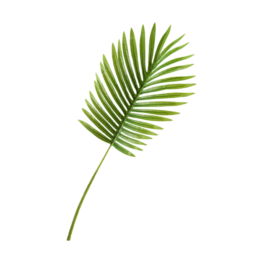 Small Hawaiian Palm Leaf - GR1919 - Image 2