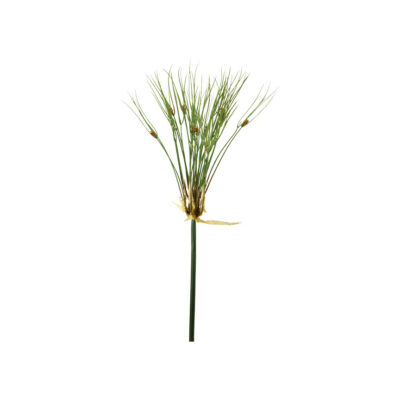 Water Grass Bush - GR1928