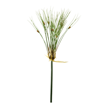 Water Grass Bush - GR1928
