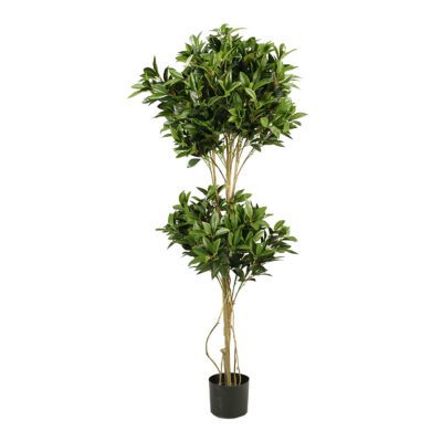 Shikiba Tree 5' - TL647