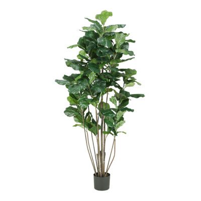 Fiddle Leaf Fig Tree 5' - TL653