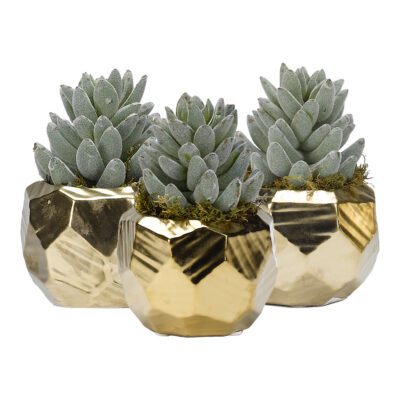 Flocked Aloe in Small Gold Flintstone Planter (Set of 3) - 189008