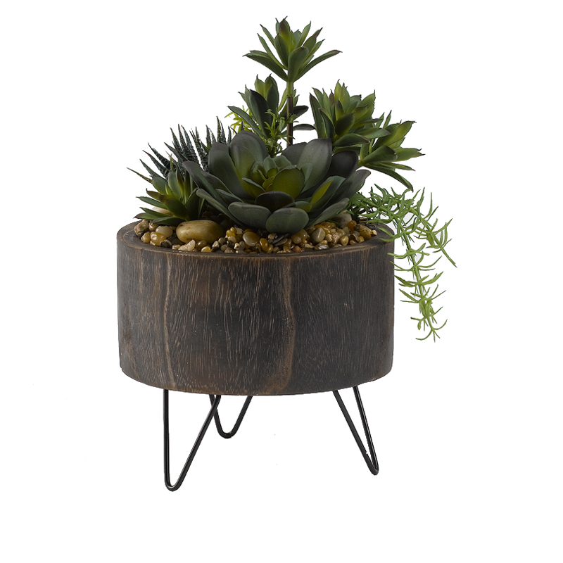 Mini Yucca with Aloe and Echeveria in Medium Clayton Planter - 189053