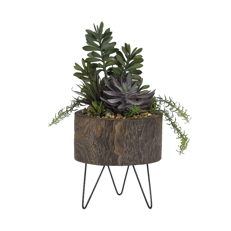 Jade Plants with Yucca and  in Large Clayton Planter - 189054