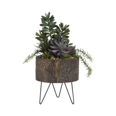 Jade Plants, Yucca & Succulents in Clayton Planter - 189054
