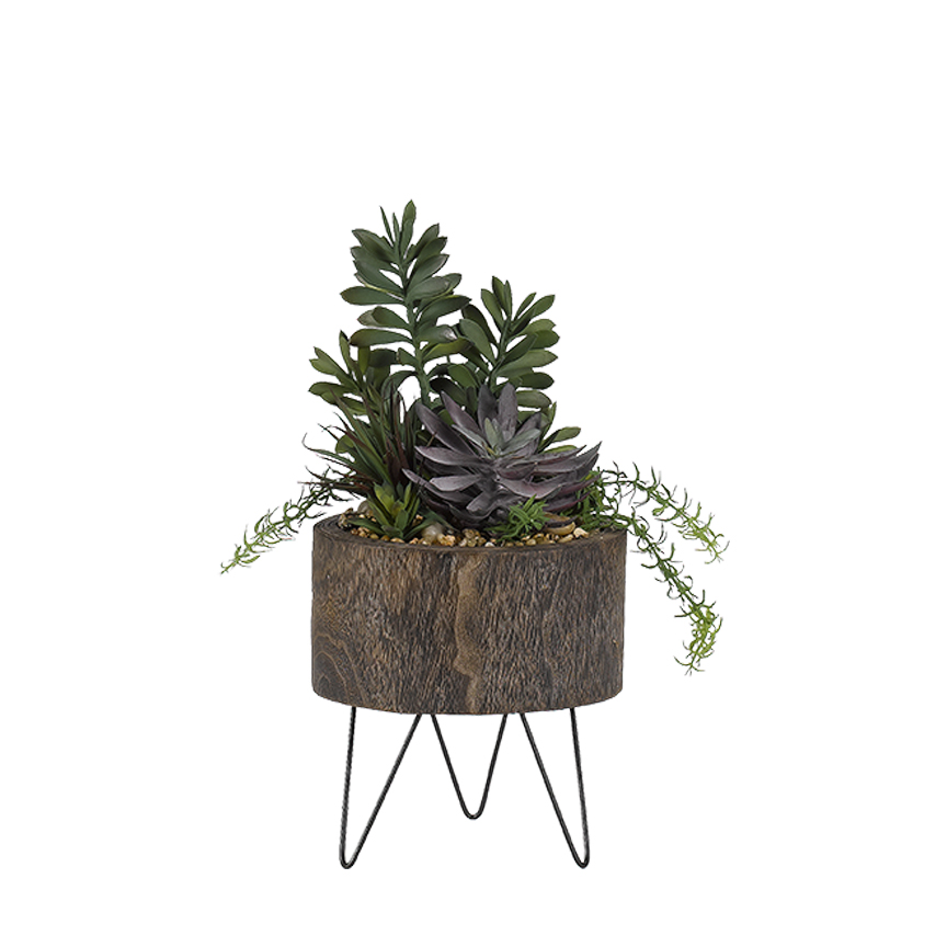 Jade Plants, Yucca & Succulents in Clayton Planter - 189054 - Image 2