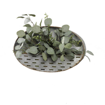 Silver Dollar Eucalyptus Spray in Oval Metal Wall Hanging - 189058