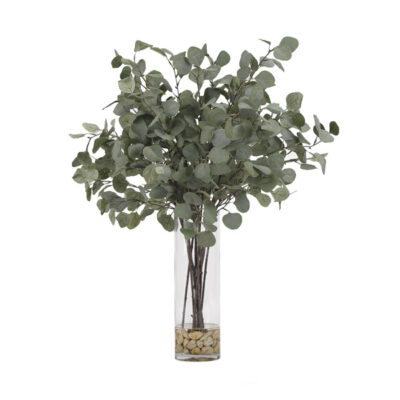 Silver Dollar Eucalyptus in Fleur Vase - 189068
