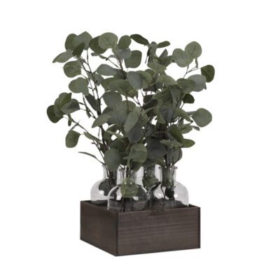 Silver Dollar Eucalyptus in Langley Vase - 189069