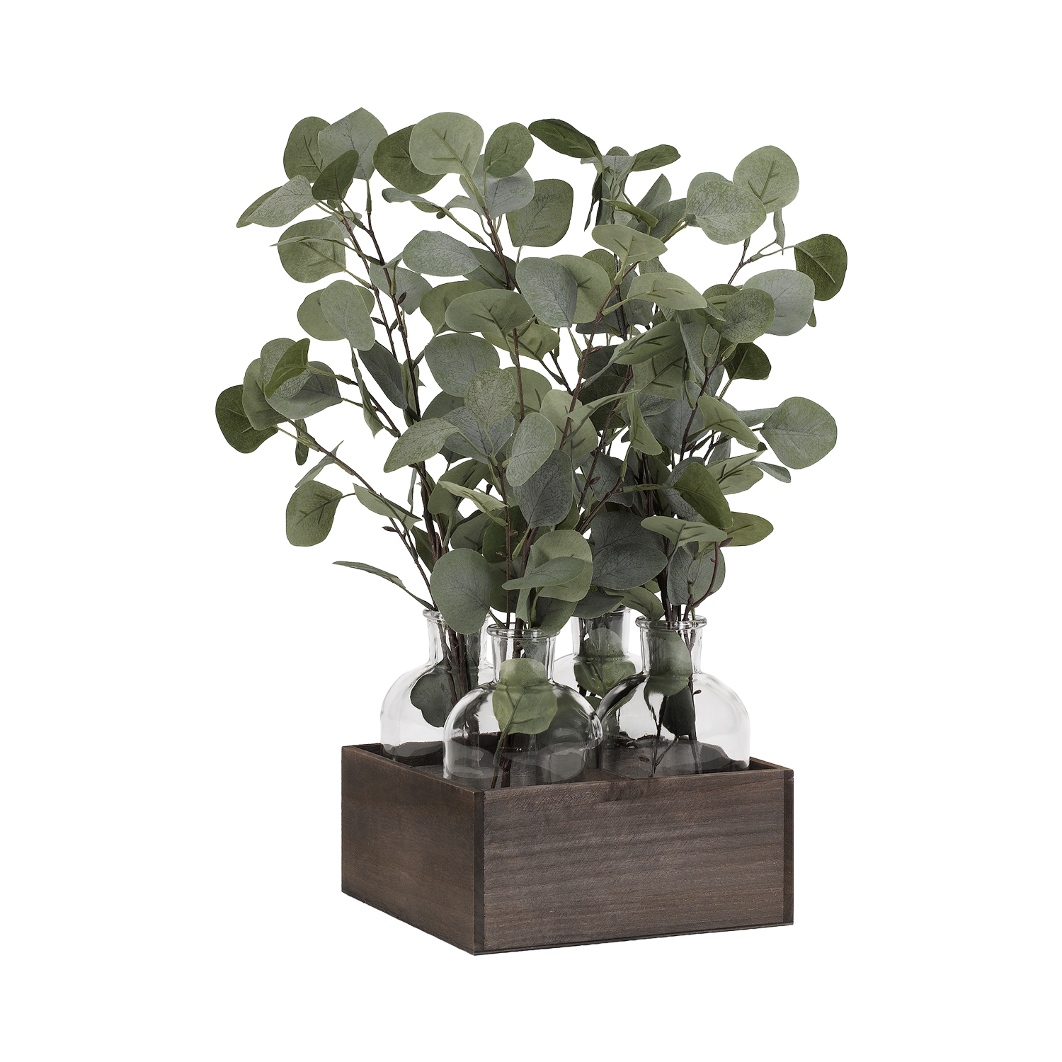 Silver Dollar Eucalyptus in Langley Vase - 189069