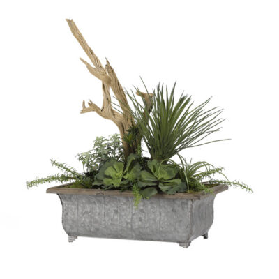 Large Ruffled Echeveria, Rosemary Spray, Driftwood & Yucca in Tin Planter - 189070