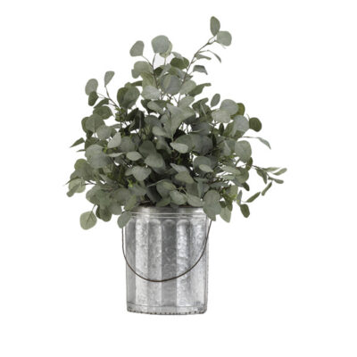 Silver Dollar Eucalyptus in Oval Metal Bucket with Wire Handle - 189071