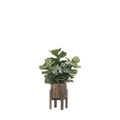 Fiddle Leaf Fig Branches in Cooper Planter - 189075