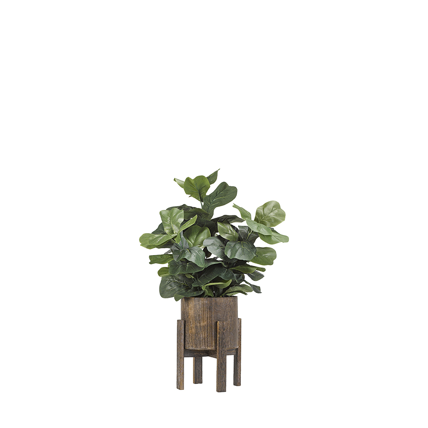 Fiddle Leaf Fig Branches in Cooper Planter - 189075