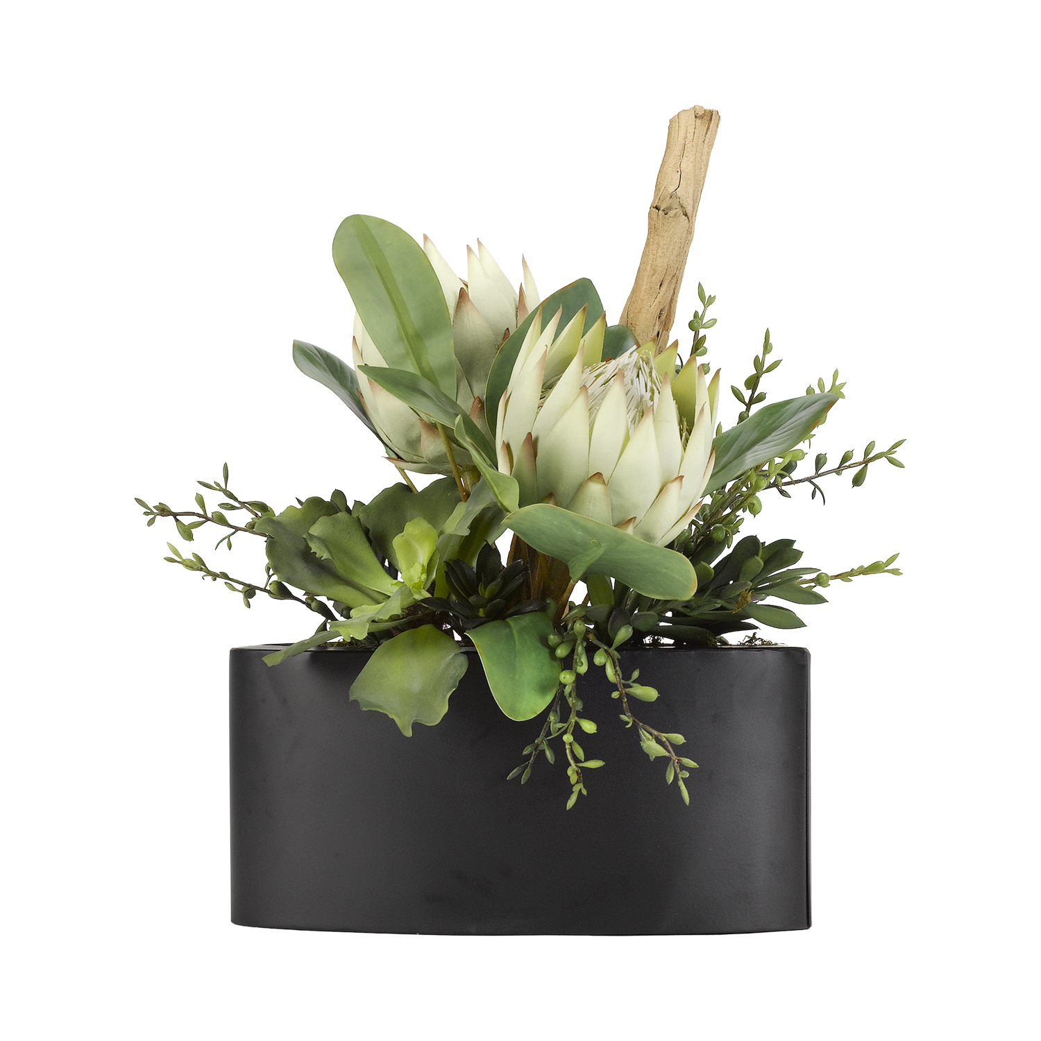 Green King Protea, Assorted Succulents & Greenery in Smith Planter - 189078