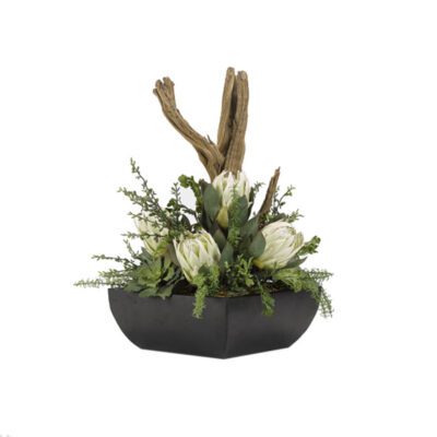 Green King Proteas, Assorted Greenery, Driftwood & Foliage in Navis Planter - 189079