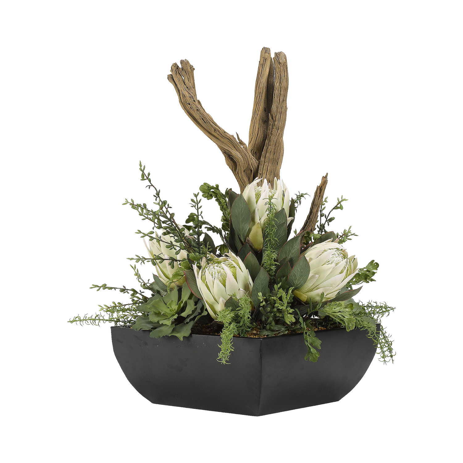 Proteas, Assorted Greenery, Driftwood and Foliage in Navis Planter - 189079