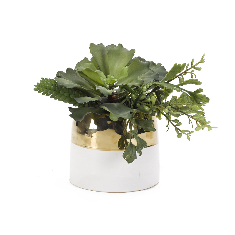 Large Ruffle Echeveria with Greenery in Braes Vase - 189081