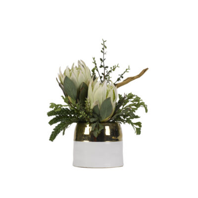 Large Green King Proteas with Hare's Foot Fern in Oval Cream/Gold Ceramic - 189082